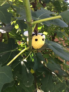 684ED691-9E6F-45D5-B49D-DD524E73E613